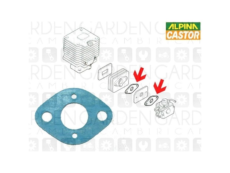 Alpina, Castor 3724020 Guarnizione collettore
