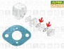 Alpina, Castor 3724020 Guarnizione collettore