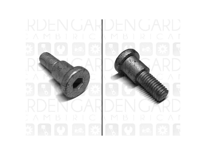 Oleomac, Efco 4191027 Vite frizione Oleomac, Efco 4191027 Vite frizione