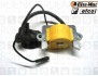 Oleomac, Blitz 35000032, 26400048 Bobina accensione