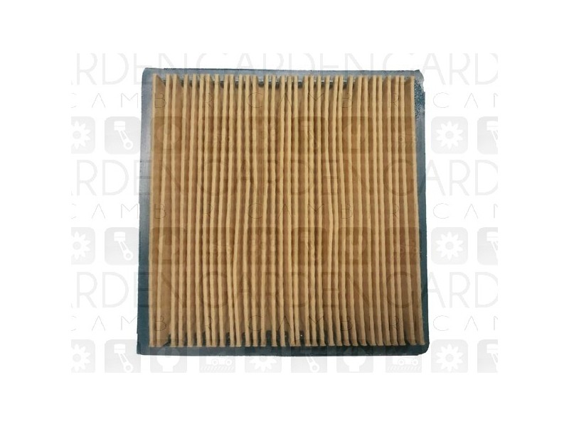 Briggs&Stratton 399877 Filtro aria Briggs&Stratton 399877 Filtro aria