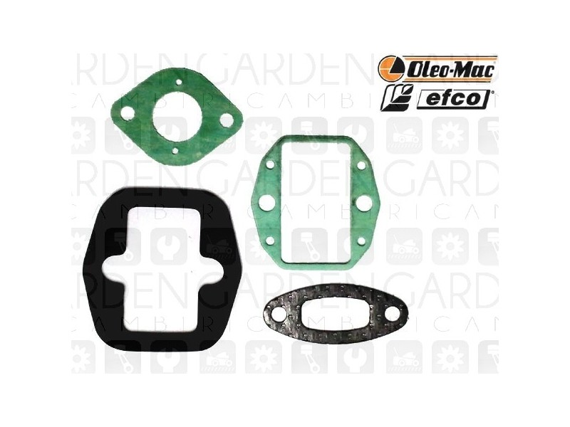 Oleomac, Efco 50032008 Serie guarnizioni motore