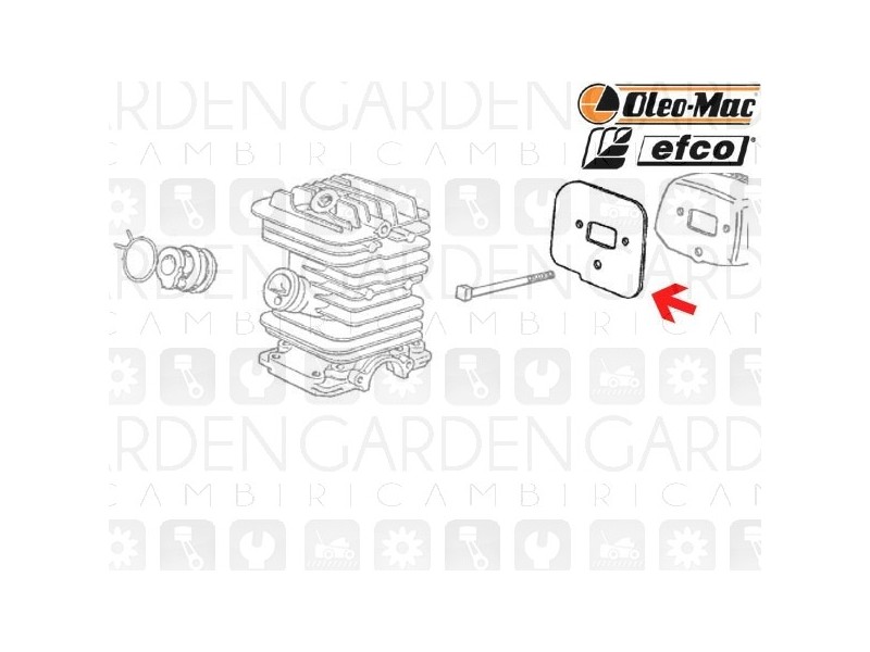 Oleomac, Efco 50060076 Guarnizione scarico