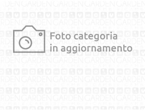 Parti Motori